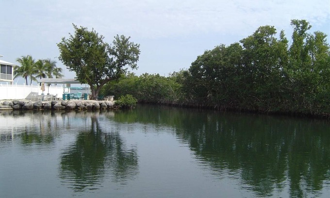 Cross Key Waterways Casa | 2/2 Oceanside house within walking distance to Pennekamp state park