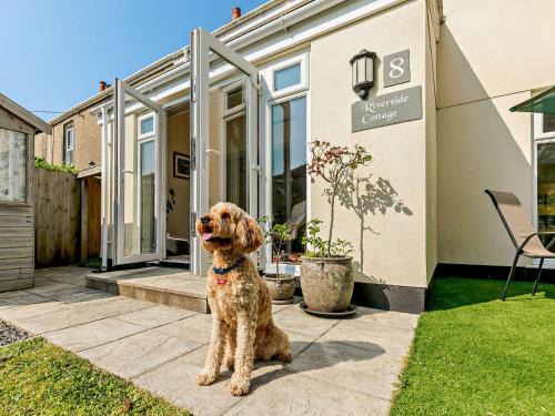Angarrack Casa | 2 Bed in Hayle 92505