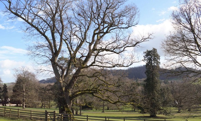 Llanfyllin Cabaña | 2 bedroom accommodation in Llanfyllin