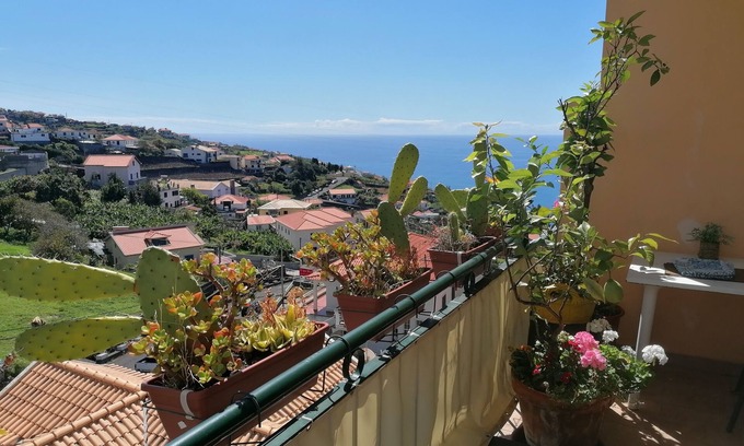 Estrela da Calheta Apartamento | 2 bedroom apartment in Estrela da Calheta, 5 minutes from Calheta beach