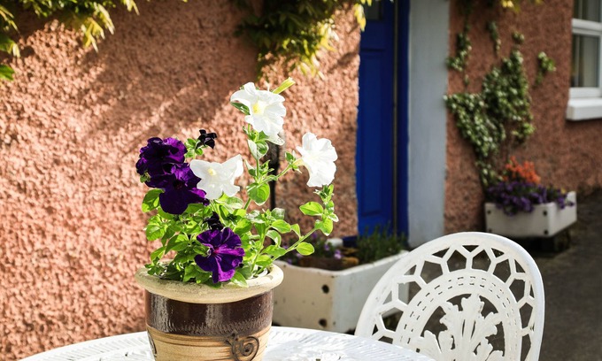 County Cavan Cabaña | 2 Bedroom Cottage Wisteria Cottage in Ballyconnell