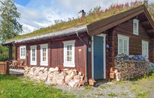 Oppdal Casa | 2 Bedroom Lovely Home In Oppdal