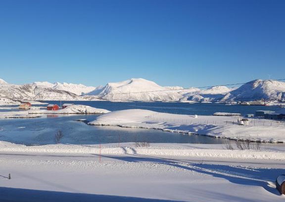 Sommarøy Apartamento | 2 Bedrooms Apartment in Sommarøy Island