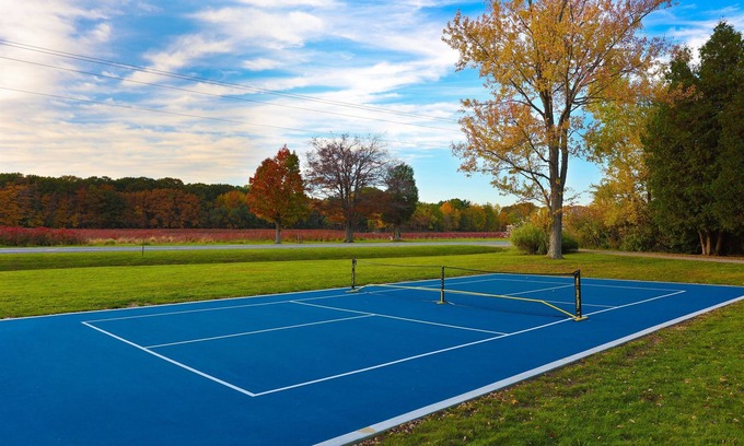 South Haven Cabina | 2 Cabins| HotTub | Pickleball | FirePit | King Bed