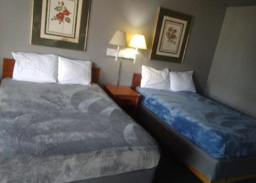 Livingston Apartamento | 2 Double Bed Hotel Studio 203