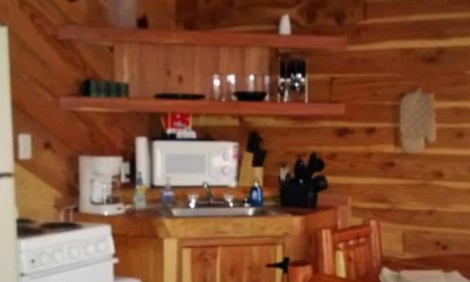 Newnata Cabina | 2 miles from Blanchard Springs Caverns