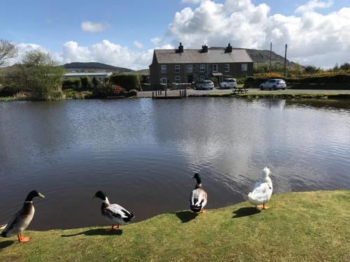 Garn Fadryn Casa | 2 Sea View Cottage
