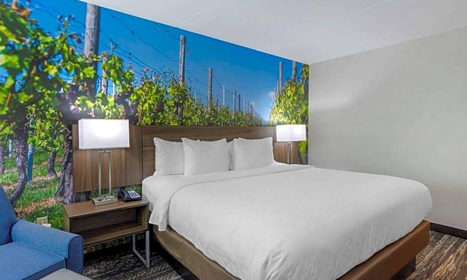 Charlottesville Hotel | Hotel de 3 estrellas ∙ Clarion Pointe Charlottesville