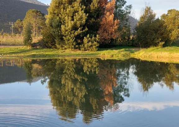 Bitou Apartamento | 20 Good Summers Farm Stay
