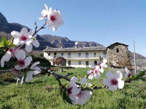 Envie Cama Y Desayuno | 20 m² Bed & Breakfast ∙ 2 huéspedes