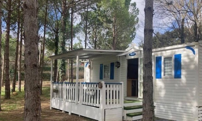 Bedarieux Casa | 20 Mobilhome Sous les Pins Calme Verdure Clim 4 Couchages