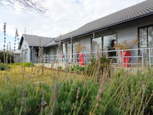 Fichardt Park Casa | 21 On Coetzee Guest House