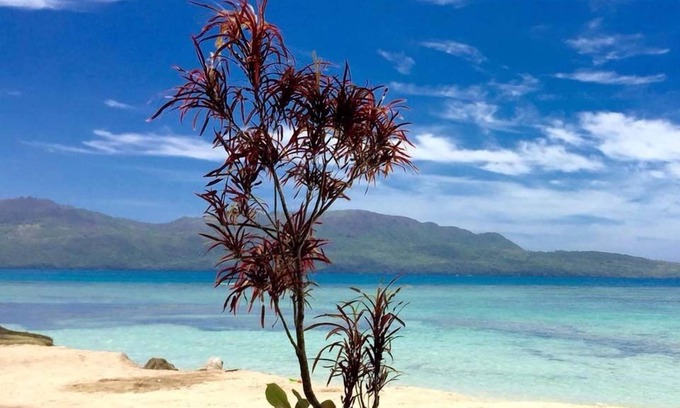 Las Galeras Cama Y Desayuno | 21 Palms