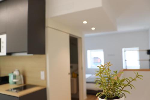 Beato Apartamento | 268 Lettér - Charming studio with balcony