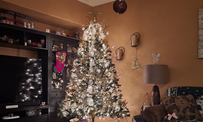 Surprise Farms Casa | 3 bdrm family home fully decorated Winter Wonderland for Christmas 23