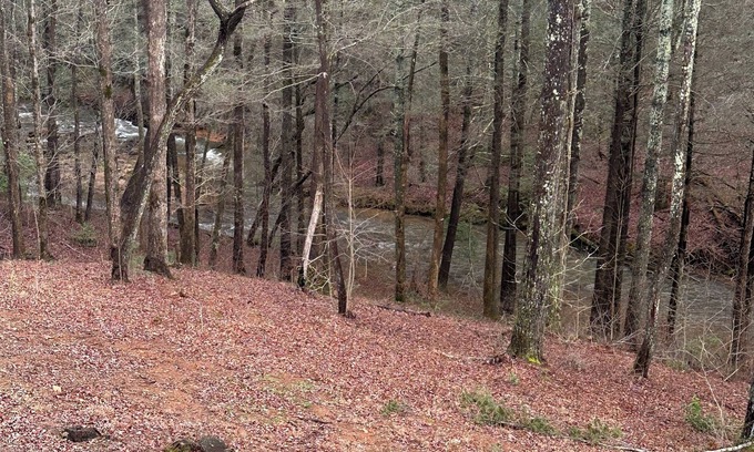Dahlonega Casa | 3-bedroom house in Dahlonega right on Yahoola Creek. WiFi, Fireplace & hot-tub.
