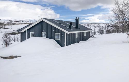 Nore og Uvdal Casa | 3 Bedroom Stunning Home In Uvdal