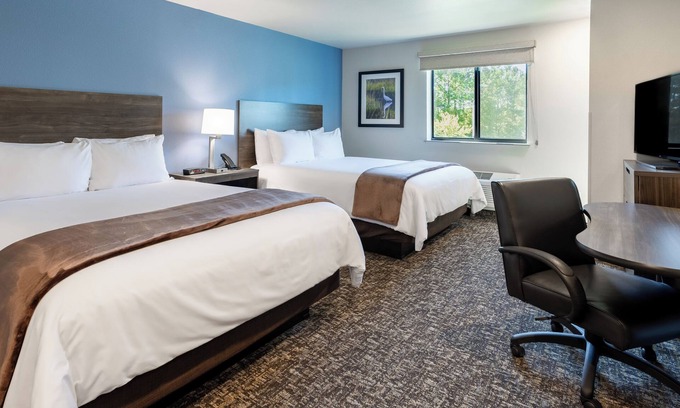 Medford Casa | 3 Classic Rooms with Kitchen – Perfect for Families | Pet-Friendly
