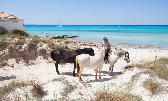 Ses Salines Cabaña | Villa muy privada a 3km de las mejores playas
