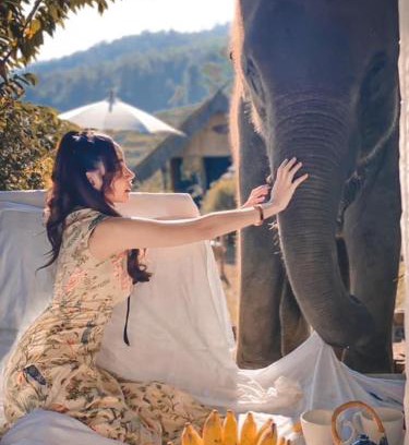 Mae Wang Casa | 3 Pok Maewang jinxiang Gold elephant park