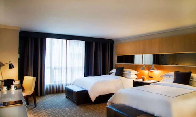 Downtown Toronto Hotel | 3 Spacious Rooms w/ Charming Decor & City Views – Pet-Friendly Central Toronto