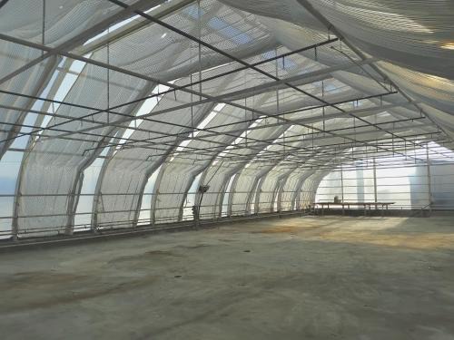Pargas Otro | 300m2 greenhouse