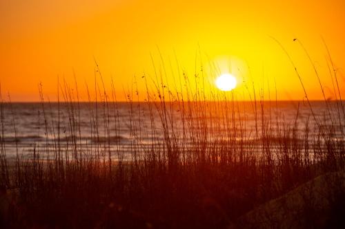 Beach Lagoon Casa | 306 Beach Lagoon at The Sea Pines Resort