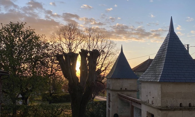Saint-Cibard Casa | Large mansion of 380 m2 near Saint-Emilion