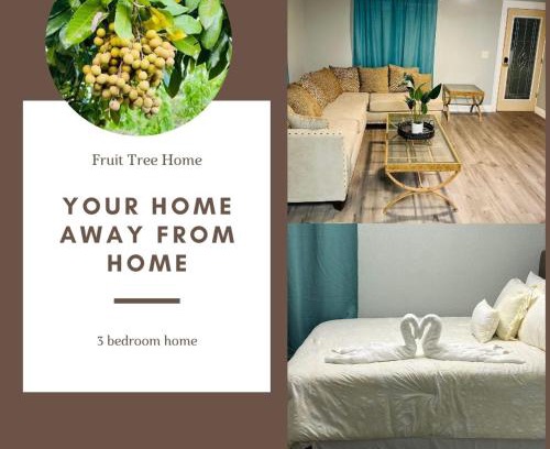 Orlando Casa | 3bdrm Fruit Tree Home near downtown Orlando