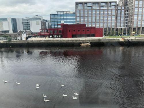 Ringsend Apartamento | 3bed 3bath Liffey river view