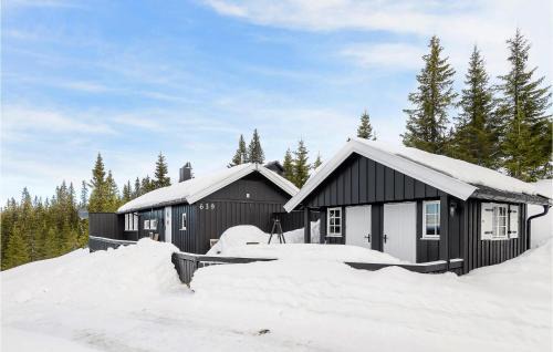 Sjusjoen Casa | 4 Bedroom Gorgeous Home In Sjusjøen
