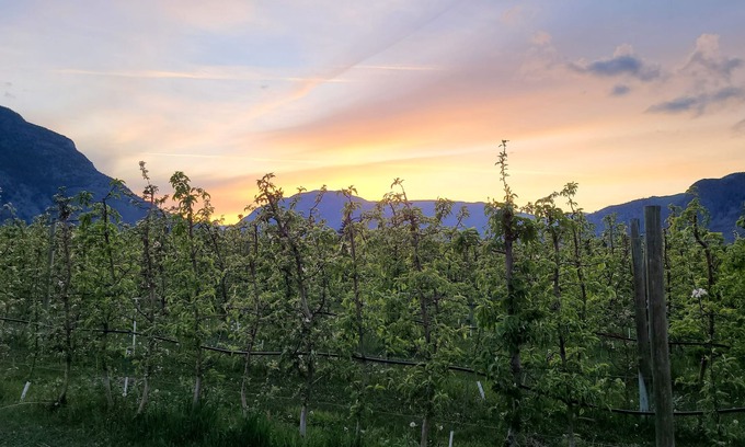 Okanagan-Similkameen Cabina | 4 Bedrooms with Orchard Views