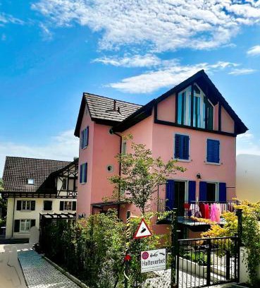 Horgen District Apartamento | 4 mins walk Thalwil Station, Free Parking, Historical