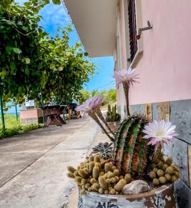 Piran Casa | 4 Roses Residence