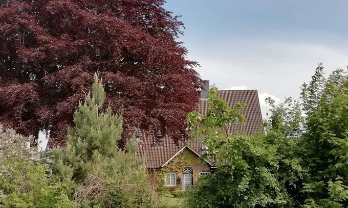 Vogelsdorf Apartamento | 4- Zimmer- Wohnung: "talblick" im Buchenhof- Wagrien