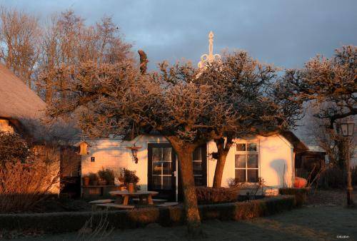 Bollingawier Cama Y Desayuno | 48 m² Bed & Breakfast ∙ 2 huéspedes