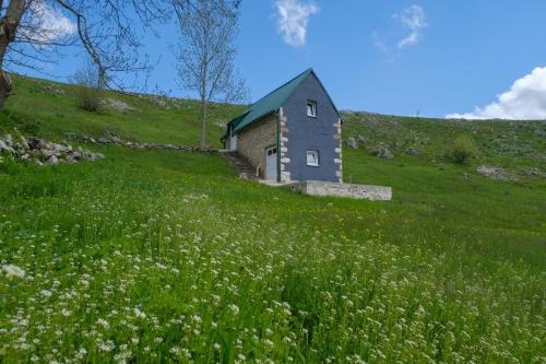 Pluzine Apartamento | 4NORTH Tiny house on the Durmitor's ring