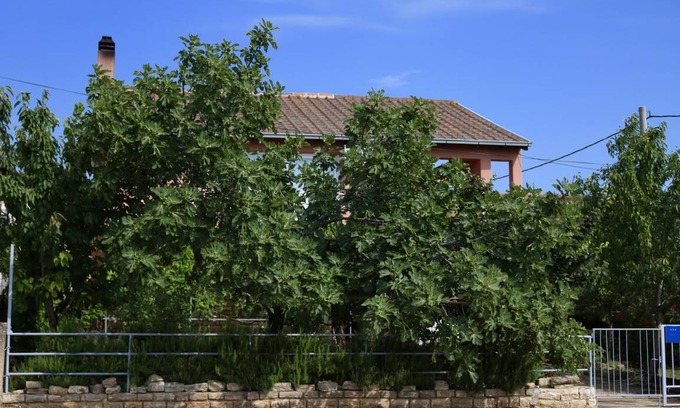 Gornji Karin Apartamento | 50 m² Apartamento ∙ 1 habitación ∙ 4 huéspedes