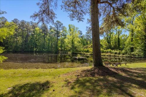 North Augusta Casa | 5BR Woodland Retreat on 7 Acres with a Pond