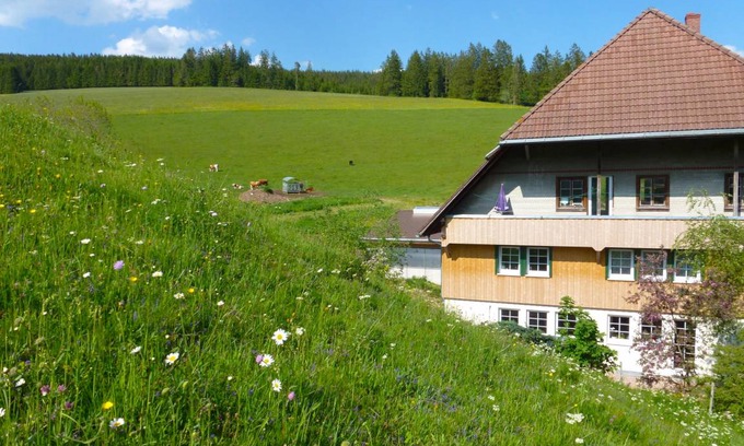 Voehrenbach Apartamento | 65 m² Casa ∙ 1 habitación ∙ 4 personas