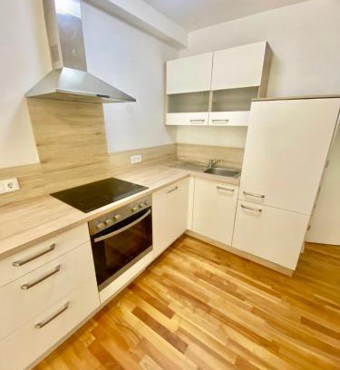 Grinzing Apartamento | 80m2 Apartment with Terrace & Free Parking