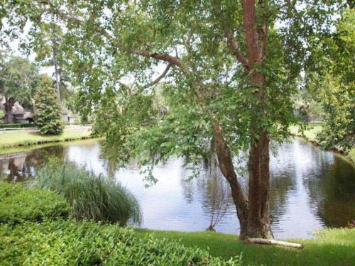 Palmetto Dunes Casa | 916 Inverness