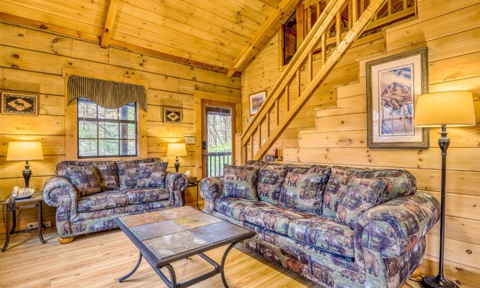 Mineral Bluff Casa | A Bear Pause
