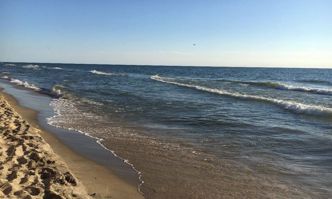 Holland Casa | A una cuadra de la playa! Un hermoso lugar arbolado a 5 minutos a pie del lago MI ..