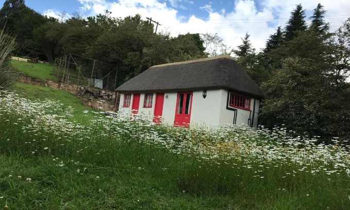 Rosetta Casa | A Boat House