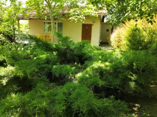 Primorski Casa | A charming and peaceful summer villa 400m from the sea