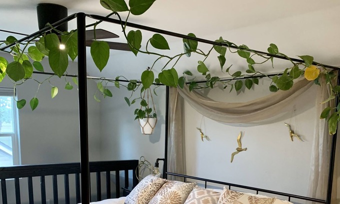 Southeast Salem Cabaña | A Cozy Place to Land