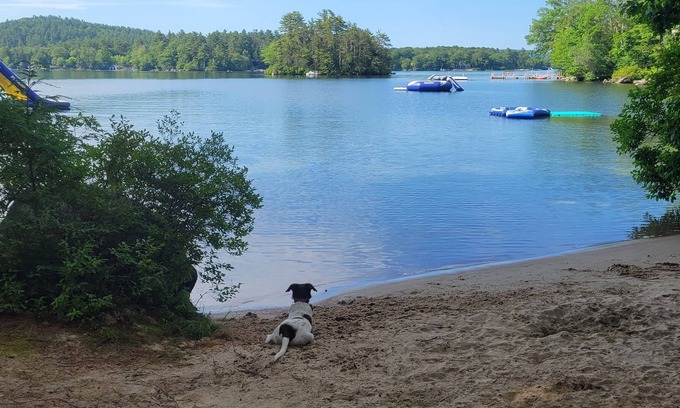 Wolfeboro Cabina | Currently available for custom dates in August. Rent for one week to 4 weeks.
