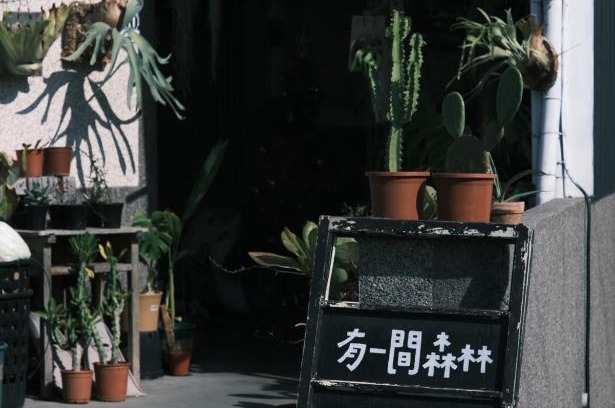 Xiaoliuqiu Casa | A Forest Homestay
