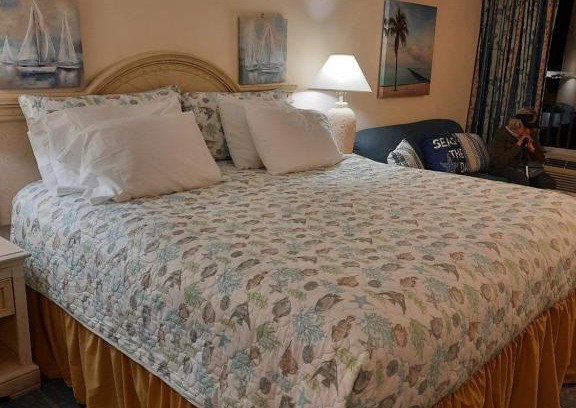 Ortona Park Apartamento | A Happy Seashell Story